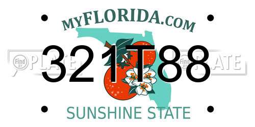 321T88 Florida License Plate