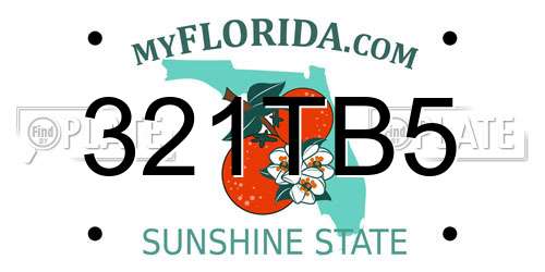 321TB5 Florida License Plate