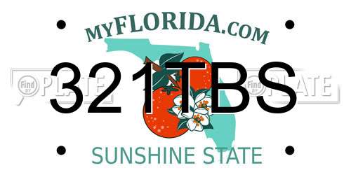 321TBS Florida License Plate