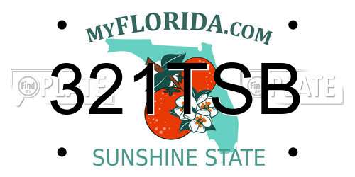321TSB Florida License Plate