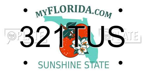 321TUS Florida License Plate