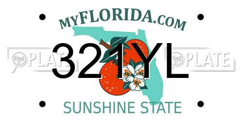 321YL Florida License Plate