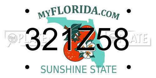 321Z58 Florida License Plate