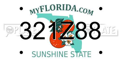 321Z88 Florida License Plate