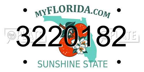 3220182 Florida License Plate