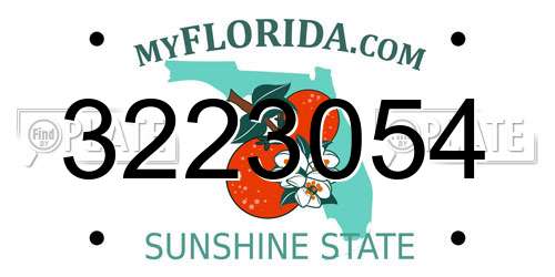 3223054 Florida License Plate