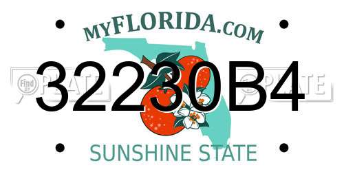 32230B4 Florida License Plate