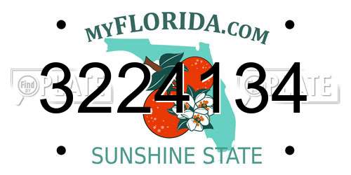 3224134 Florida License Plate