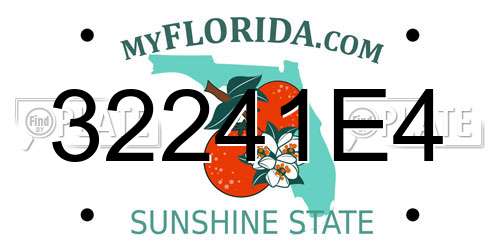 32241E4 Florida License Plate