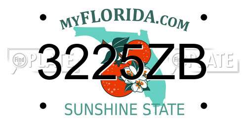 3225ZB Florida License Plate