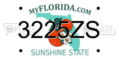 3225ZS Florida License Plate