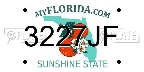 3227JF Florida License Plate