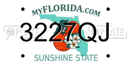 3227QJ Florida License Plate