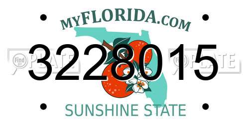 3228015 Florida License Plate