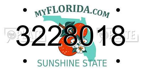 3228018 Florida License Plate