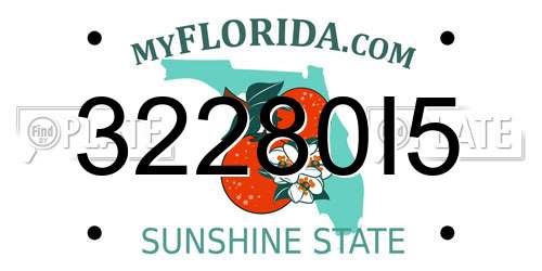 32280I5 Florida License Plate