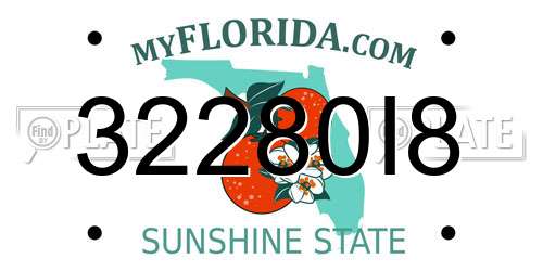 32280I8 Florida License Plate