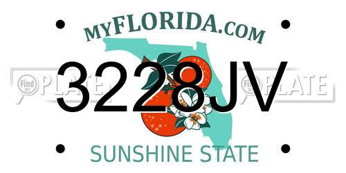 3228JV Florida License Plate
