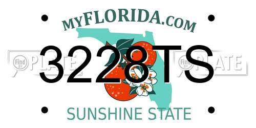 3228TS Florida License Plate
