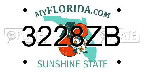 3228ZB Florida License Plate