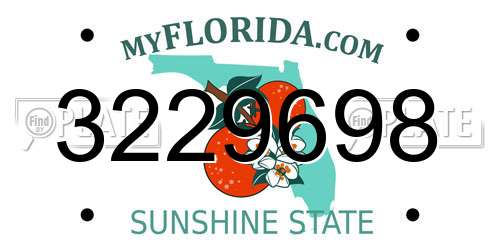 3229698 Florida License Plate