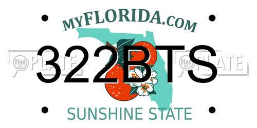 322BTS Florida License Plate