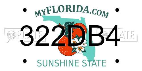 322DB4 Florida License Plate