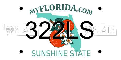322LS Florida License Plate