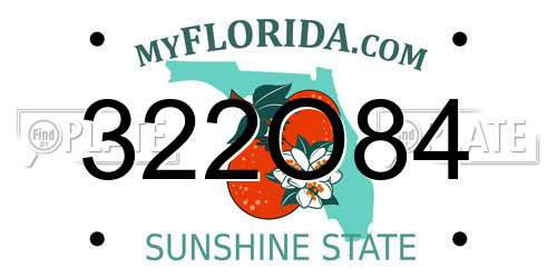 322O84 Florida License Plate