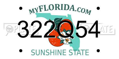 322Q54 Florida License Plate