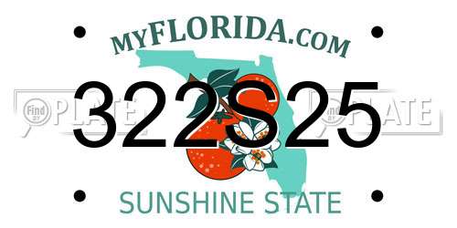 322S25 Florida License Plate