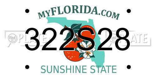 322S28 Florida License Plate