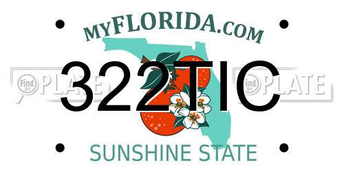 322TIC Florida License Plate