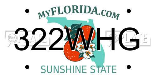 322WHG Florida License Plate