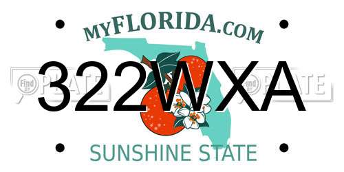 322WXA Florida License Plate