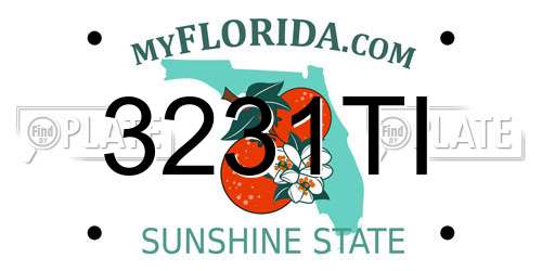 3231TI Florida License Plate