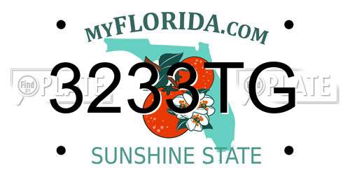 3233TG Florida License Plate