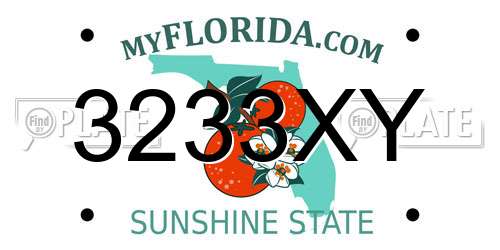 3233XY Florida License Plate