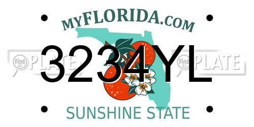 3234YL Florida License Plate