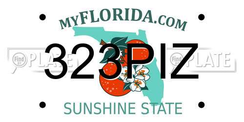 323PIZ Florida License Plate