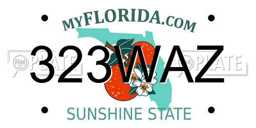 323WAZ Florida License Plate