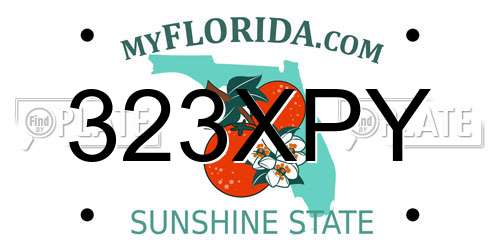 323XPY Florida License Plate