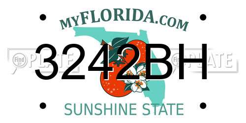 3242BH Florida License Plate