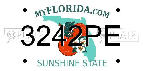 3242PE Florida License Plate