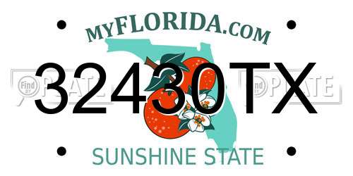 32430TX Florida License Plate