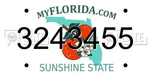 3243455 Florida License Plate