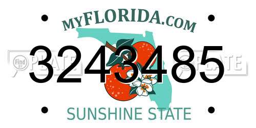 3243485 Florida License Plate
