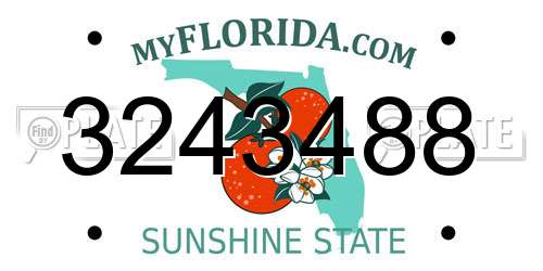3243488 Florida License Plate