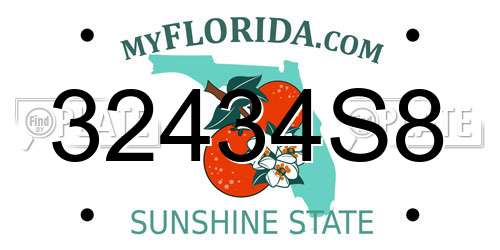 32434S8 Florida License Plate