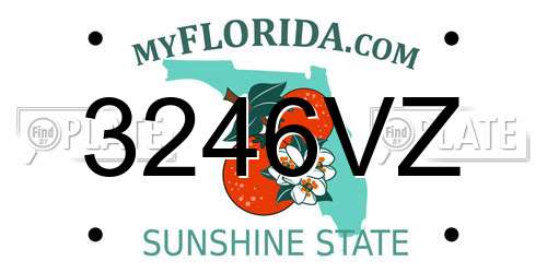 3246VZ Florida License Plate